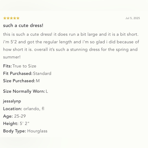 NWT XL - Anthropologie 100% Cotton Embroidered Swing Shirt Dress - Picture 14 of 16